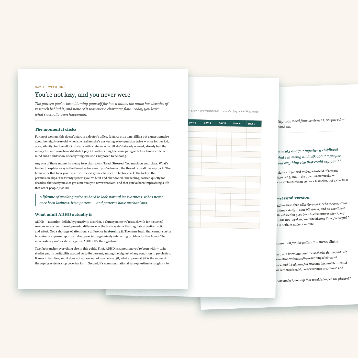 Inside the guide: Day 1, the daily patterns grid, and the assessment playbook